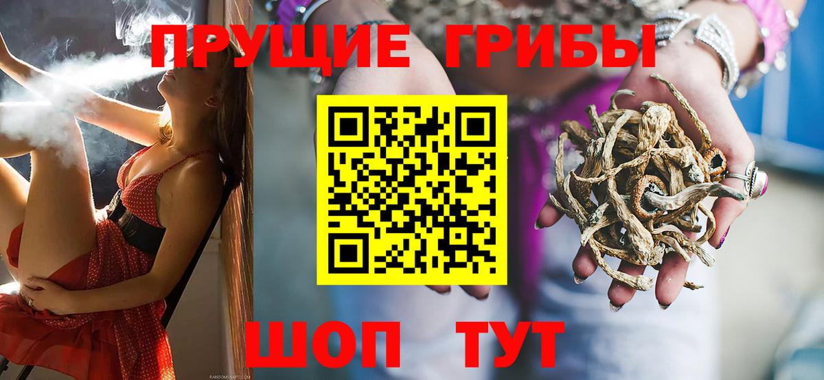 Галлюциногенные грибы Psilocybine cubensis  Псилоцибиновые грибы Cubensis  Вход с VPN  Дубна 
