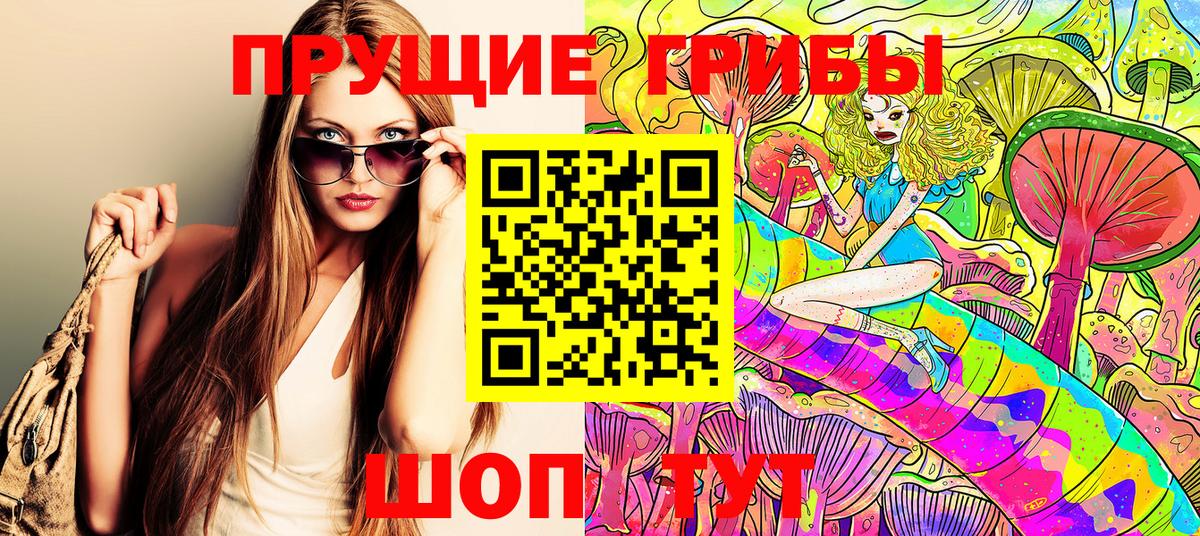 COCAIN Дубна